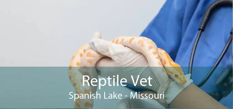 Reptile Vet Spanish Lake - Missouri