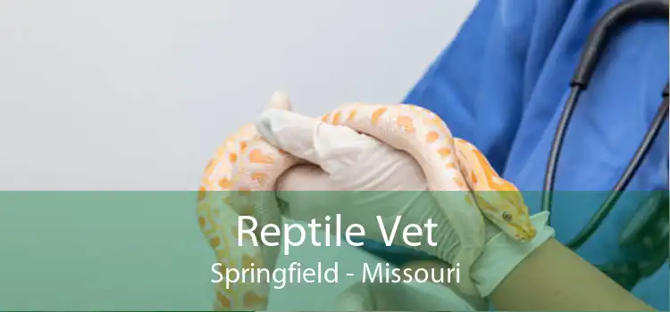 Reptile Vet Springfield - Missouri