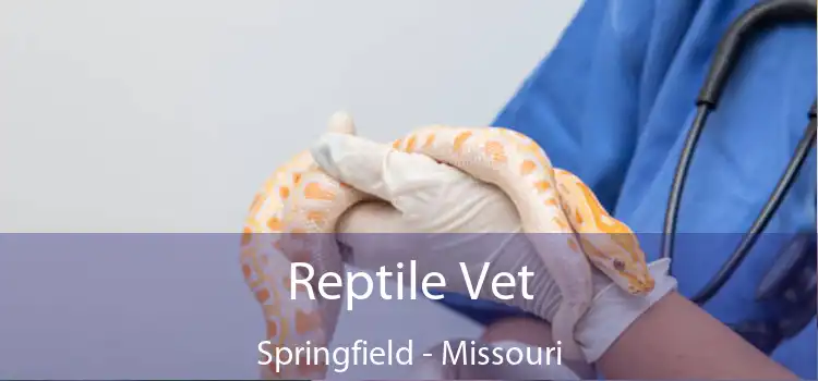 Reptile Vet Springfield - Missouri