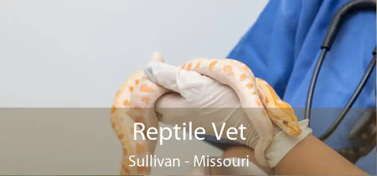 Reptile Vet Sullivan - Missouri