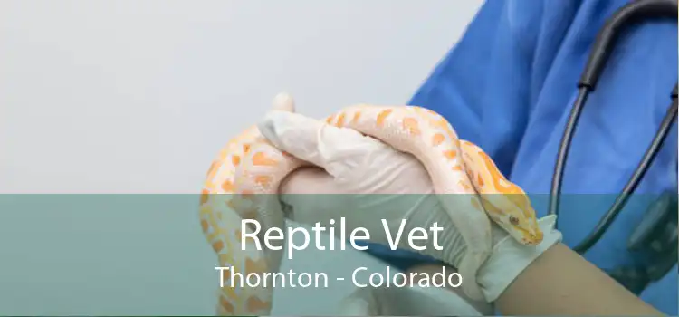 Reptile Vet Thornton - Colorado