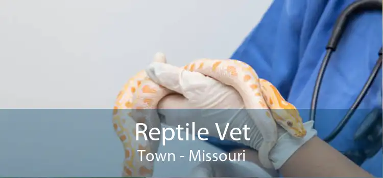 Reptile Vet Town - Missouri