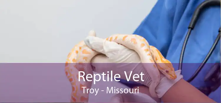 Reptile Vet Troy - Missouri