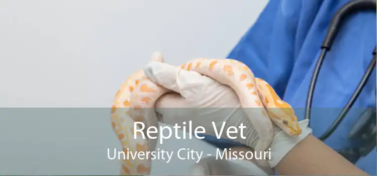 Reptile Vet University City - Missouri