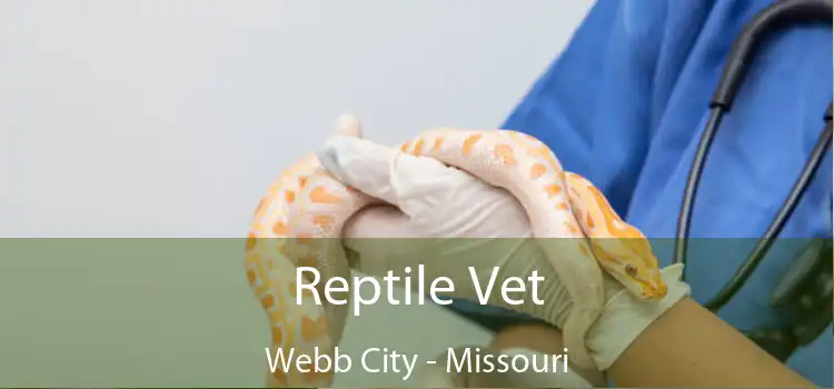 Reptile Vet Webb City - Missouri