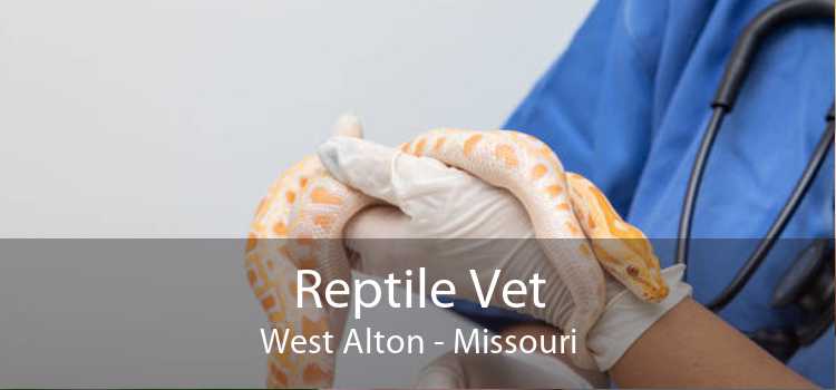 Reptile Vet West Alton - Missouri