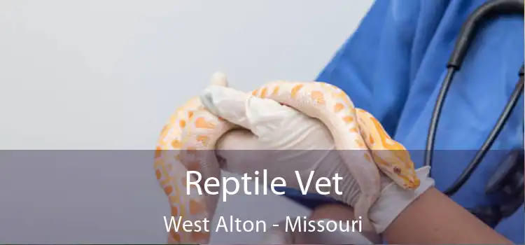 Reptile Vet West Alton - Missouri