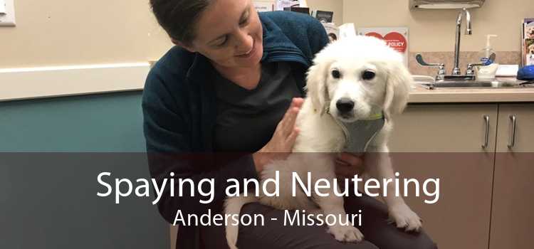 Spaying and Neutering Anderson - Missouri
