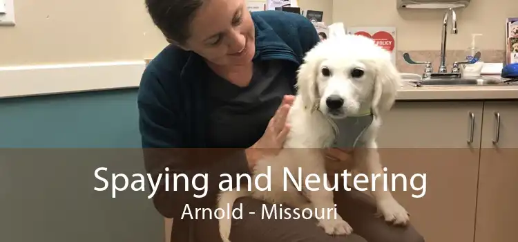 Spaying and Neutering Arnold - Missouri