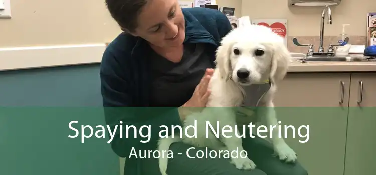 Spaying and Neutering Aurora - Colorado