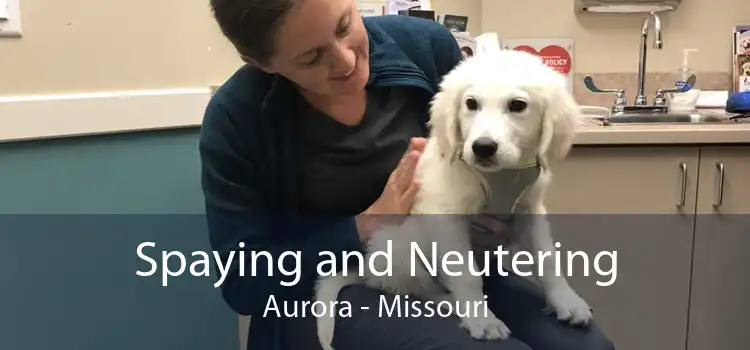 Spaying and Neutering Aurora - Missouri