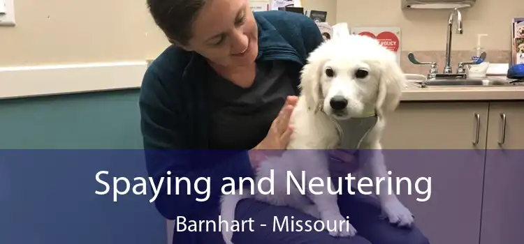 Spaying and Neutering Barnhart - Missouri