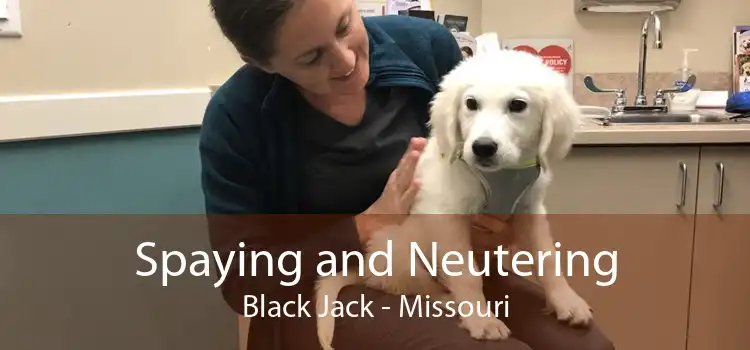 Spaying and Neutering Black Jack - Missouri