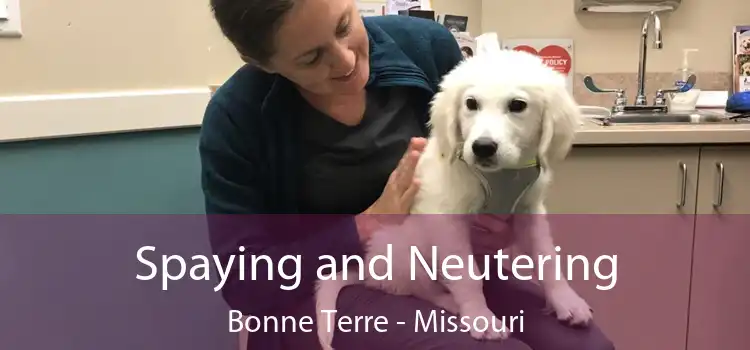 Spaying and Neutering Bonne Terre - Missouri