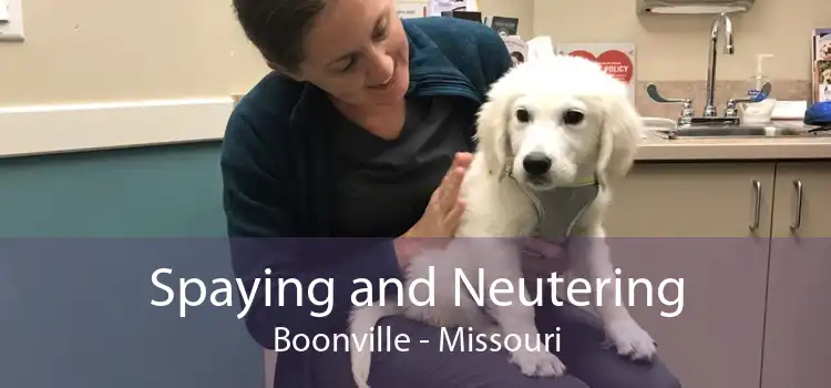 Spaying and Neutering Boonville - Missouri
