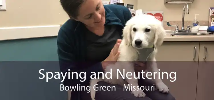 Spaying and Neutering Bowling Green - Missouri