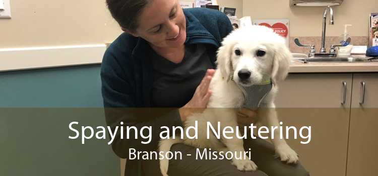 Spaying and Neutering Branson - Missouri