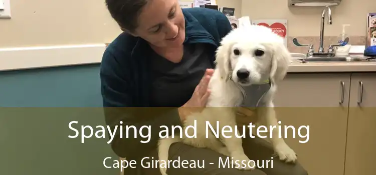 Spaying and Neutering Cape Girardeau - Missouri