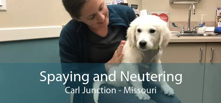 Spaying and Neutering Carl Junction - Missouri