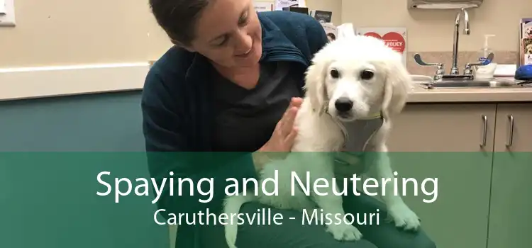 Spaying and Neutering Caruthersville - Missouri