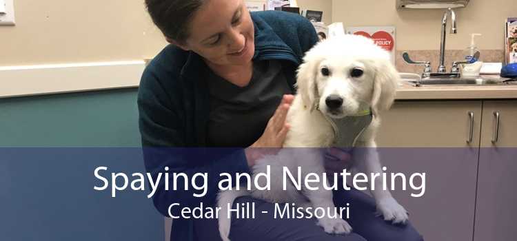 Spaying and Neutering Cedar Hill - Missouri
