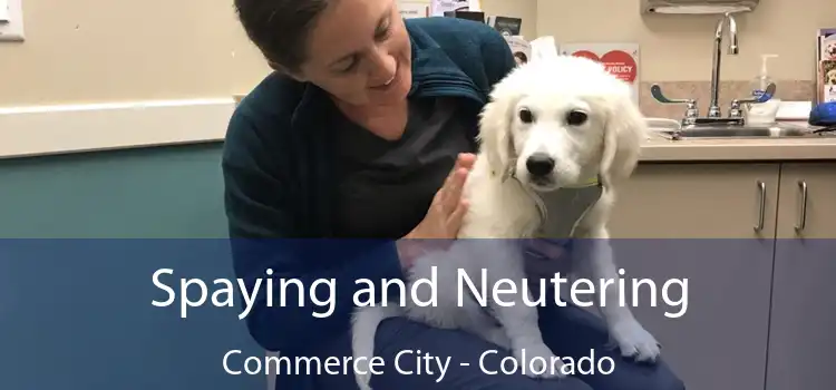 Spaying and Neutering Commerce City - Colorado