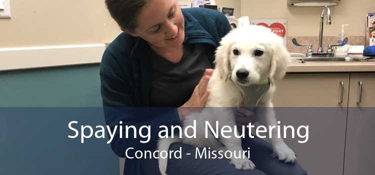 Spaying and Neutering Concord - Missouri