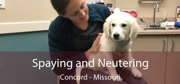 Spaying and Neutering Concord - Missouri
