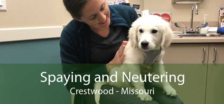 Spaying and Neutering Crestwood - Missouri