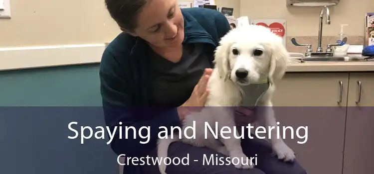 Spaying and Neutering Crestwood - Missouri