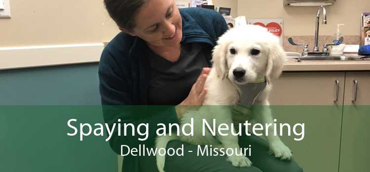 Spaying and Neutering Dellwood - Missouri