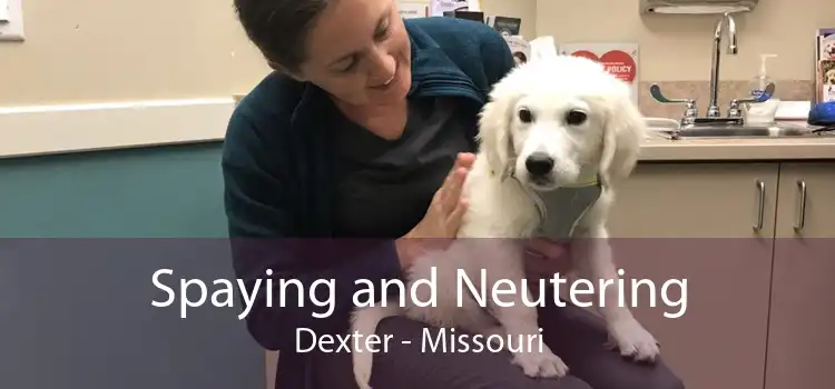 Spaying and Neutering Dexter - Missouri
