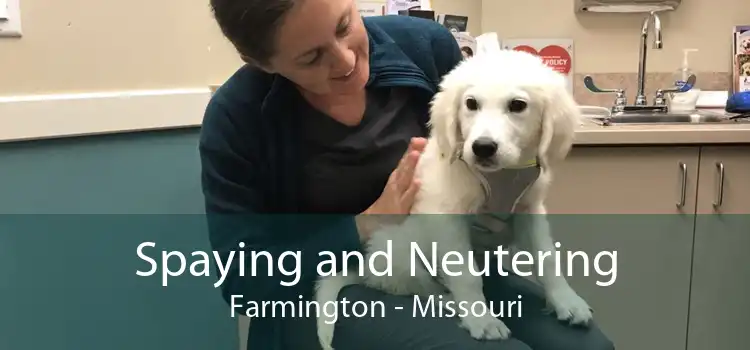Spaying and Neutering Farmington - Missouri