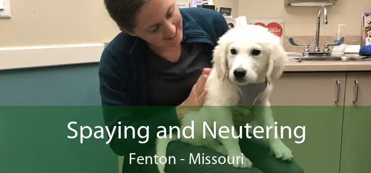 Spaying and Neutering Fenton - Missouri