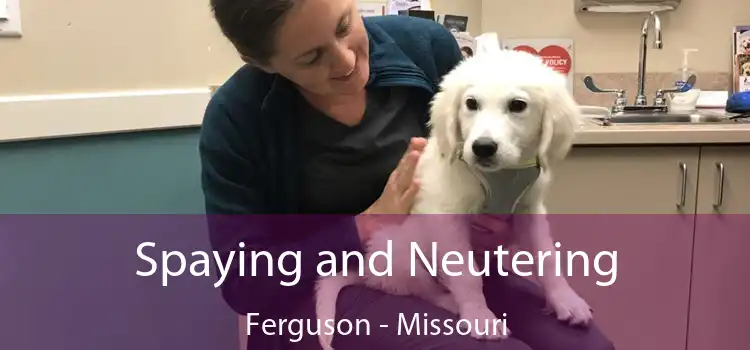 Spaying and Neutering Ferguson - Missouri