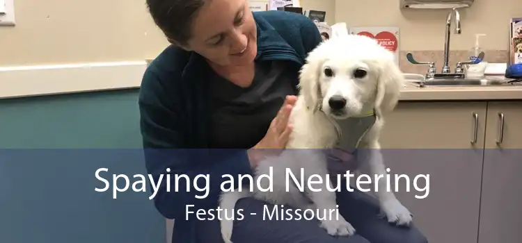 Spaying and Neutering Festus - Missouri