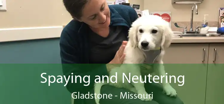 Spaying and Neutering Gladstone - Missouri
