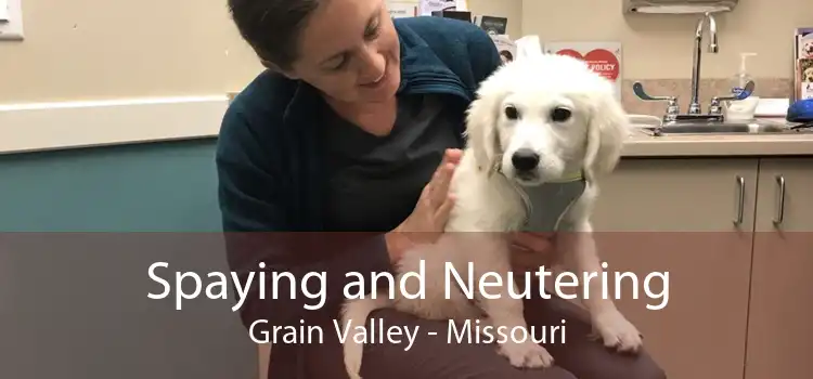 Spaying and Neutering Grain Valley - Missouri