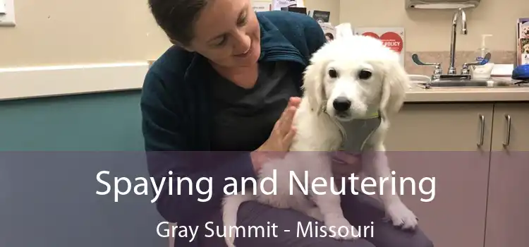 Spaying and Neutering Gray Summit - Missouri