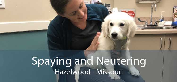 Spaying and Neutering Hazelwood - Missouri
