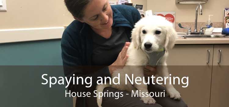 Spaying and Neutering House Springs - Missouri