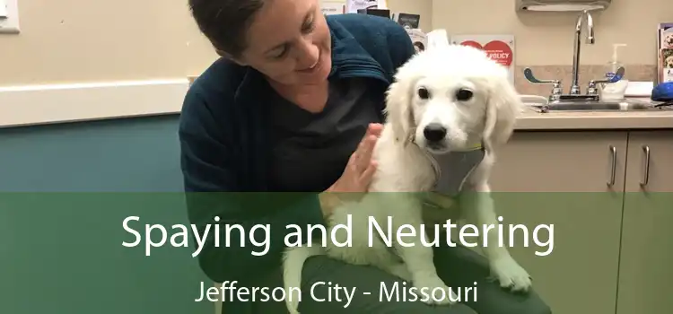 Spaying and Neutering Jefferson City - Missouri