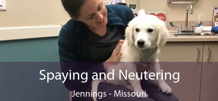 Spaying and Neutering Jennings - Missouri