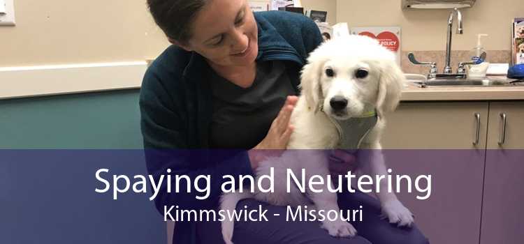 Spaying and Neutering Kimmswick - Missouri
