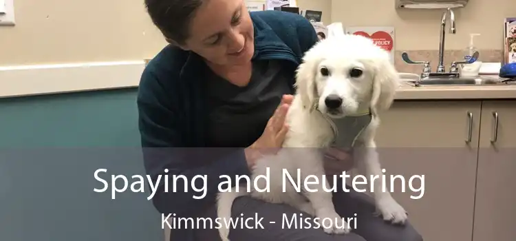 Spaying and Neutering Kimmswick - Missouri