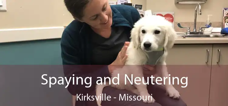 Spaying and Neutering Kirksville - Missouri