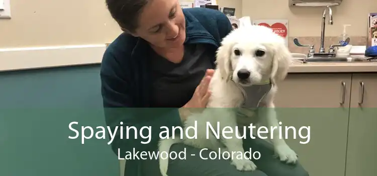 Spaying and Neutering Lakewood - Colorado