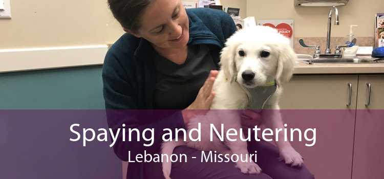Spaying and Neutering Lebanon - Missouri