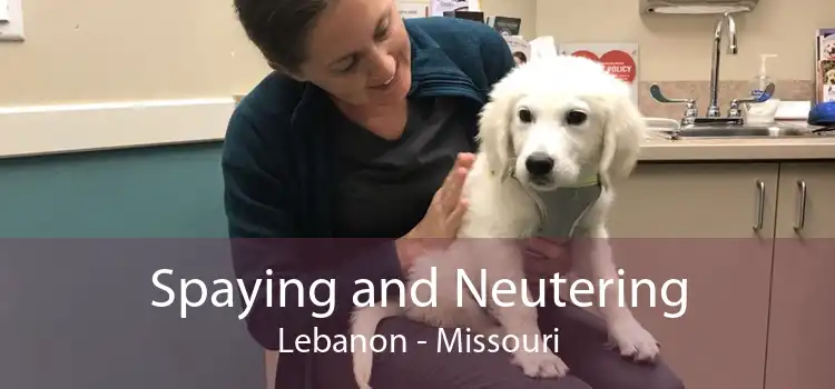 Spaying and Neutering Lebanon - Missouri