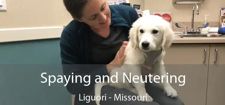 Spaying and Neutering Liguori - Missouri